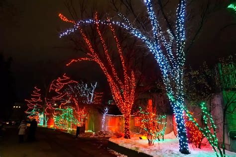 Zoolights in Calgary: 18 Best Displays and Tips for 2021/2022