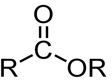 Éster carbónico