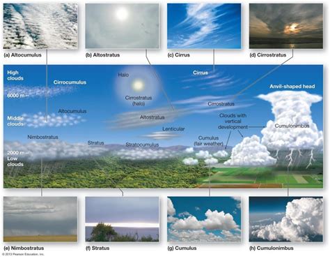 Cirrostratus Clouds Diagram