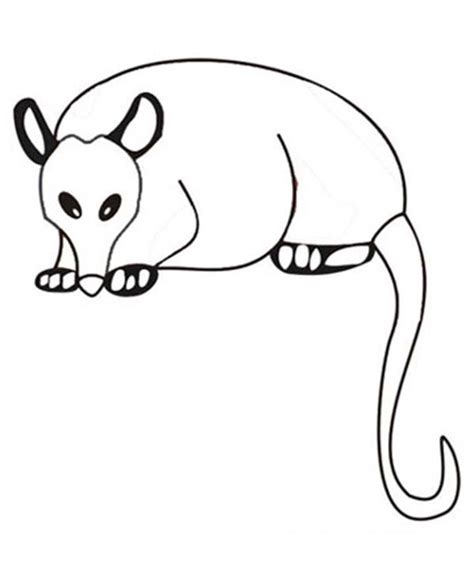 Possum Coloring Page at GetColorings.com | Free printable colorings ...