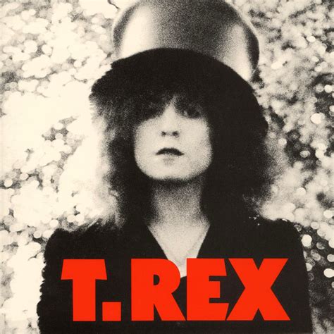 T. Rex The Slider. Glam Rock! | Cool album covers, Greatest album ...