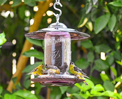 The Best Finch Feeders to Serve Thistle Seed - Birds and Blooms