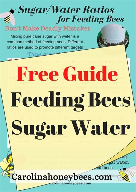 How to Make Sugar Water for Bees- Carolina Honeybees | Feeding bees ...