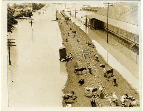 History of 1927 flood in Mississippi: Photos taken along the railroad