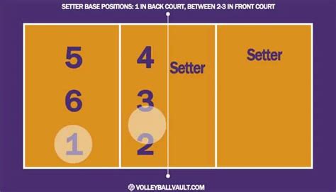 Volleyball's Setter Position: Everything You Need To Know