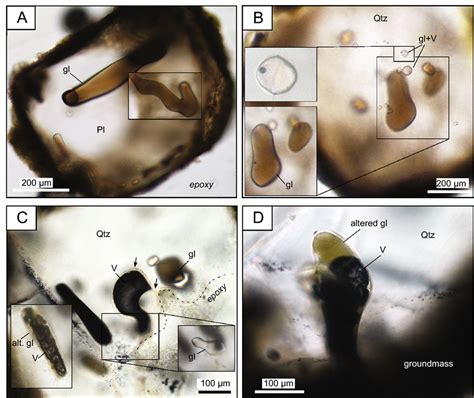 Textures of igneous inclusions in volcanic rocks of the Hokuroku area ...