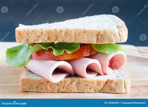 Sandwich bologna sausage stock photo. Image of vegetable - 74528548