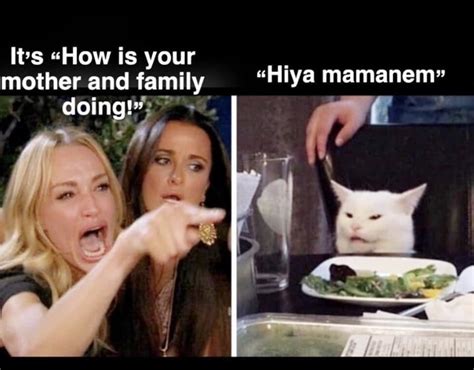 27 "Woman Yelling At A Cat" Memes That Have Kept Me Laughing So Hard