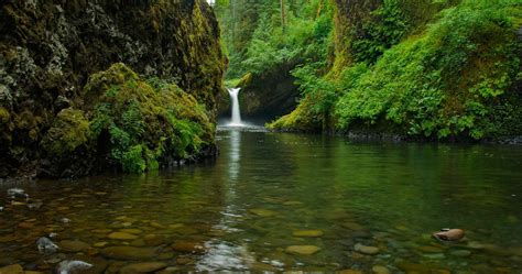 Fondos De Pantalla 4k Naturaleza