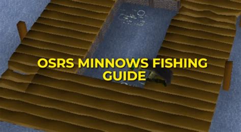 OSRS Minnows Fishing Guide: XP & GP Per Hour