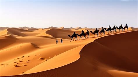 Desert Camel Camels In The Sahara Backgrounds | JPG Free Download - Pikbest