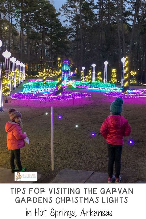 Tips for Seeing the Garvan Gardens Christmas Lights – The Gifted Gabber ...