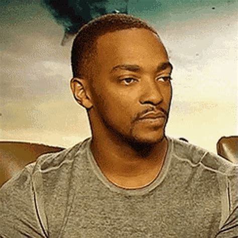 Anthony Mackie Straight Face GIF - Anthony Mackie Straight Face Bored ...