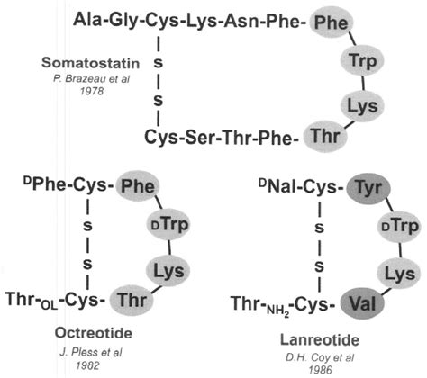 Figure 3 from Evolution of Neuroendocrine Tumor Therapy. | Semantic Scholar