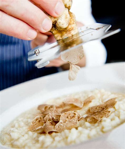 Tempting Truffle Tasting Menus - DuJour