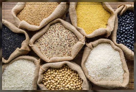 What are the World's Staple Food Crops? - Al Ardh Alkhadra