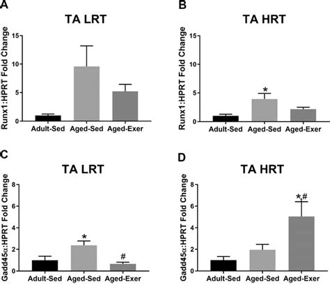 Gene expression of atrophy related denervation markers in adult and ...