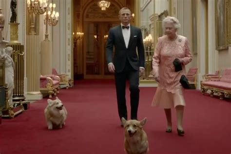 Heartbreaking reason Queen stopped breeding beloved corgis when pressed ...