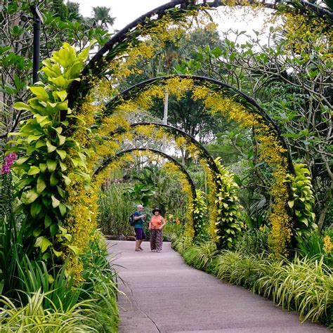 Singapore: Home to Asia’s Best Orchid Gardens — xyzAsia