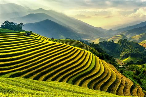 Paddy Fields, Vietnam | Top Travel Destinations to Put on Your Bucket ...