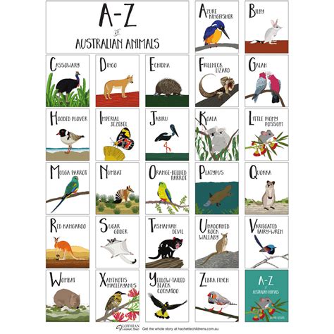 A - Z of Australian Animals hb Book – K and K Creative Toys