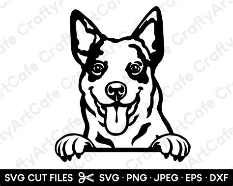 Australian Cattle Dog Peeking SVG Australian Cattle Dog SVG | Etsy