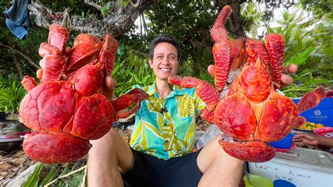 Huge Coconut Crab!! 🦀 (UNLIKE Any Other Crab on Earth!!) South Pacific ...