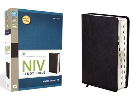 Study Bible-NIV-Large Print by Zondervan, Hardcover | Barnes & Noble®