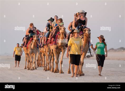 Camel ride on Cable Beach, Broome, Western Australia, Australia Stock ...