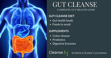 Gut Cleanse : The Complete Digestive & Gut Health Plan