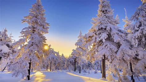 Beautiful Winter Wonderland Wallpaper (43+ images)