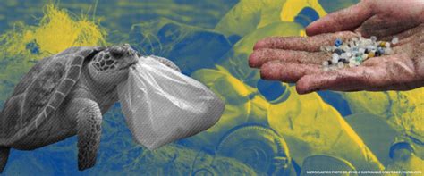 The Top 3 Problems With Plastic in Our Oceans