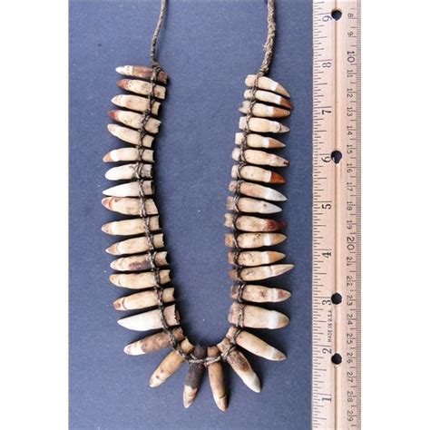 Crocodile Teeth Necklace - Kagin's Inc.