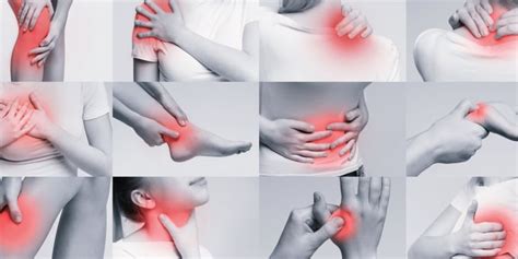 Musculoskeletal Disorders: What You Need to Know | HealthNews