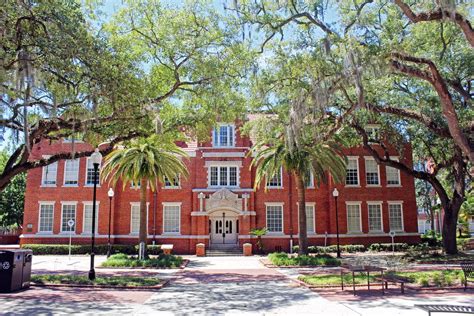 How to Get Into the University of Florida: Acceptance Rate & Strategies ...