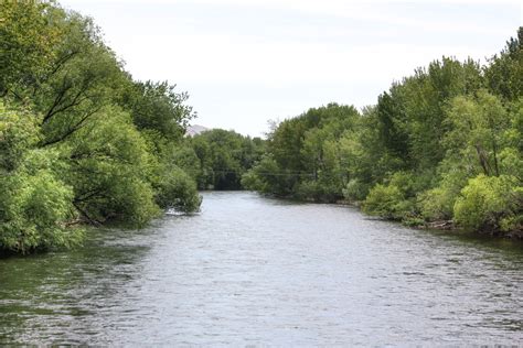 Boise Daily Photo: June Boise River