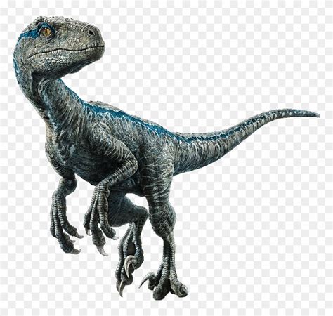 Blue The Velociraptor V4 By Sonichedgehog2 - Velociraptor Blue Png ...