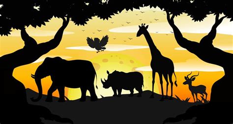 Safari Silhouette