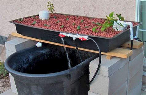 25+ Super Easy Aquaponics Diy Fishtank That You May Make It Self ...