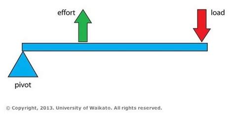 Pivot diagram of a Class 3 lever — Science Learning Hub