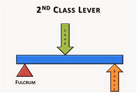 Science online: The types of the levers and the importance of each of them