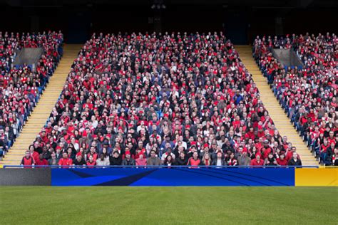 Football Crowd In Stadium Stock Photo - Download Image Now - iStock