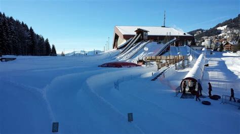 Tobogganing Park (Leysin): AGGIORNATO 2020 - tutto quello che c'è da ...