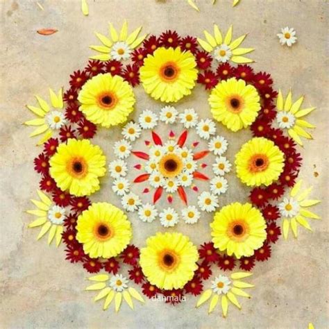 20 Best Flower Rangoli Designs Ideas For Pongal 2024