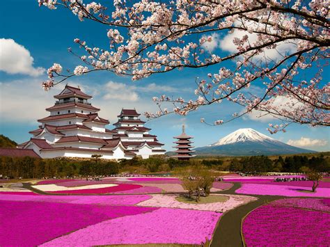 Anime Japanese Castle Castle Fuji Japan Sakura Mount Fukushima Pagodas ...