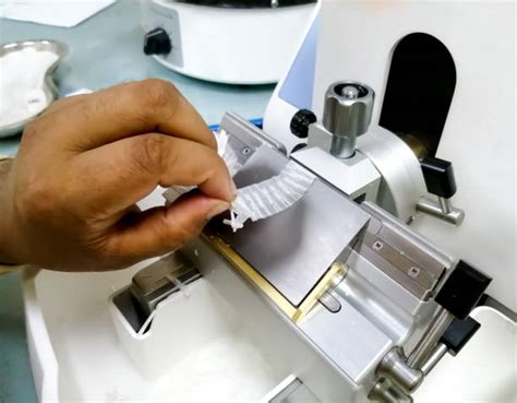 280+ Microtome Stock Photos, Pictures & Royalty-Free Images - iStock