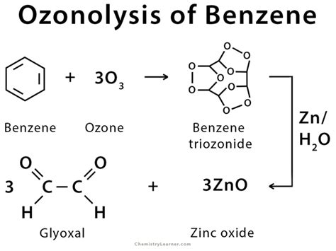 Ozonolysis: Definition, Examples, and Mechanism