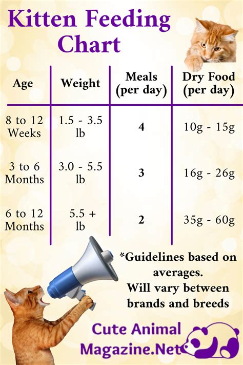 Kitten feeding chart – Artofit