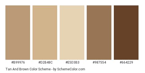 brown color palette code - Echo Ludwig