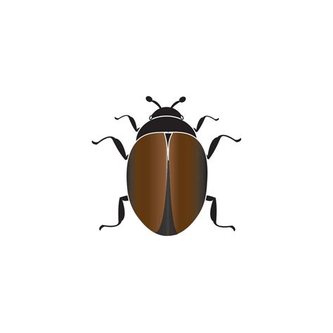 beetle icon logo vector 10835731 Vector Art at Vecteezy